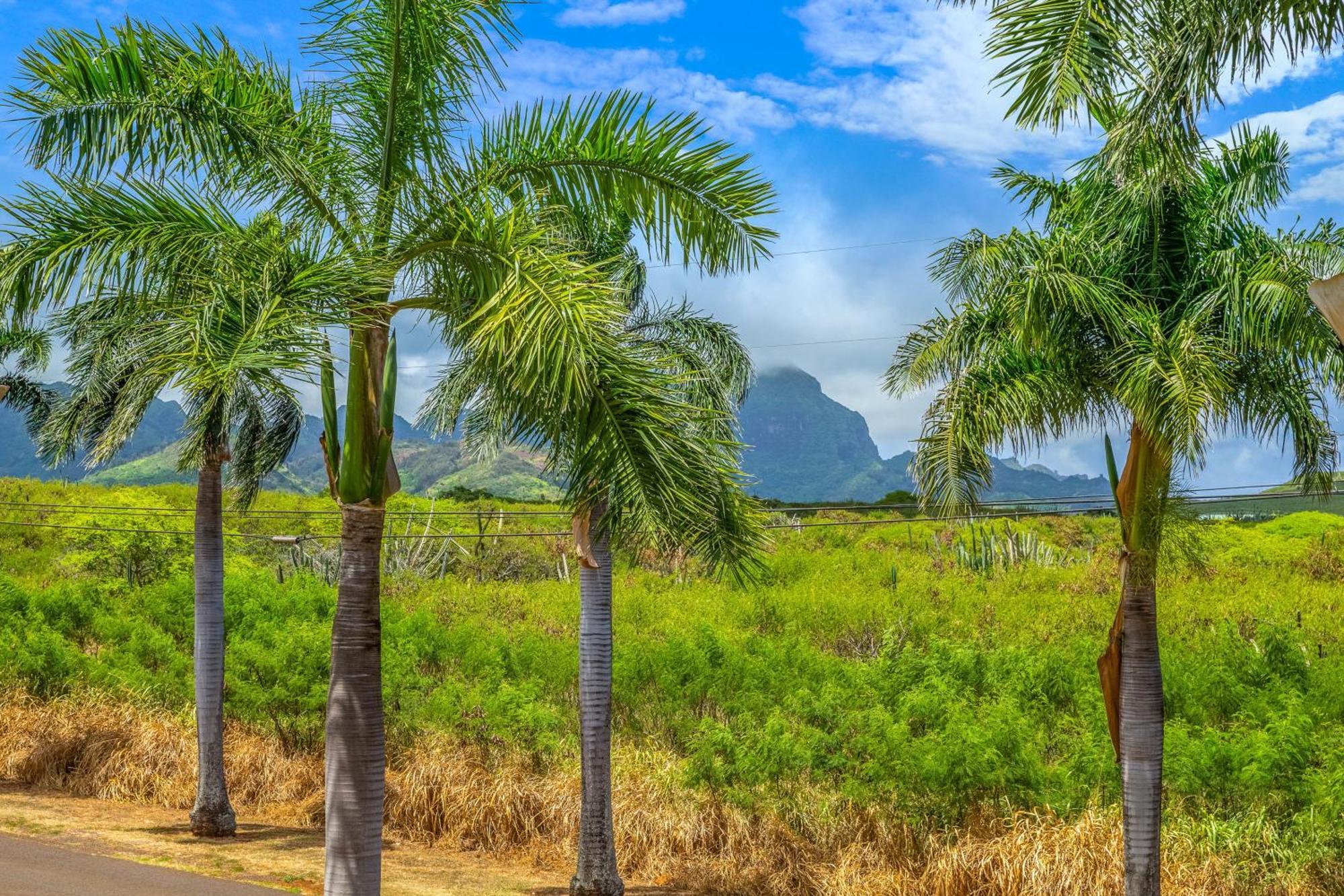 Pili Mai II Villa Koloa Стая снимка